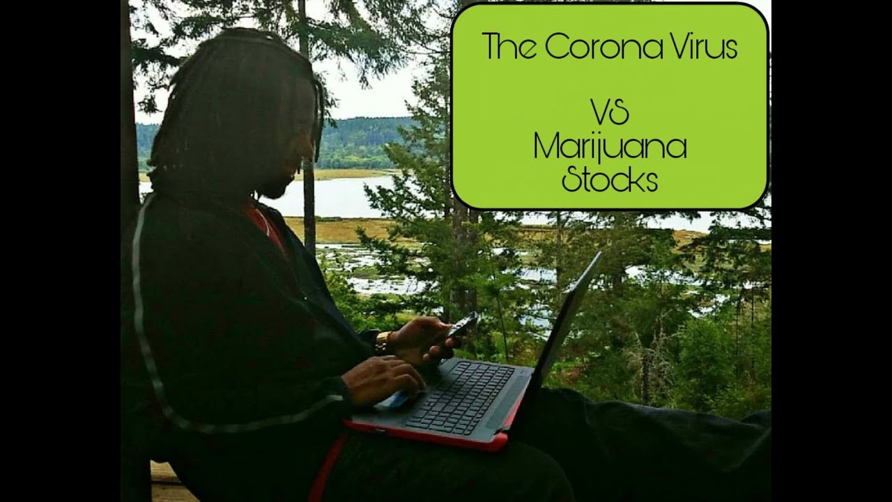 Marijuana Stocks After March Corona Virus Crisis