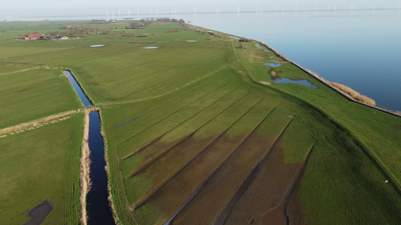 Langs de Friese IJsselmeerkust