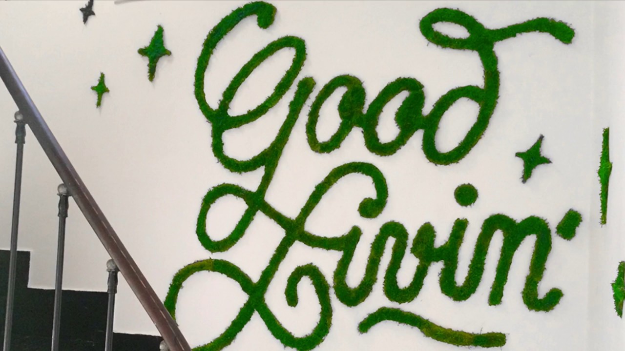 Vegetal Typography | Maison Muller