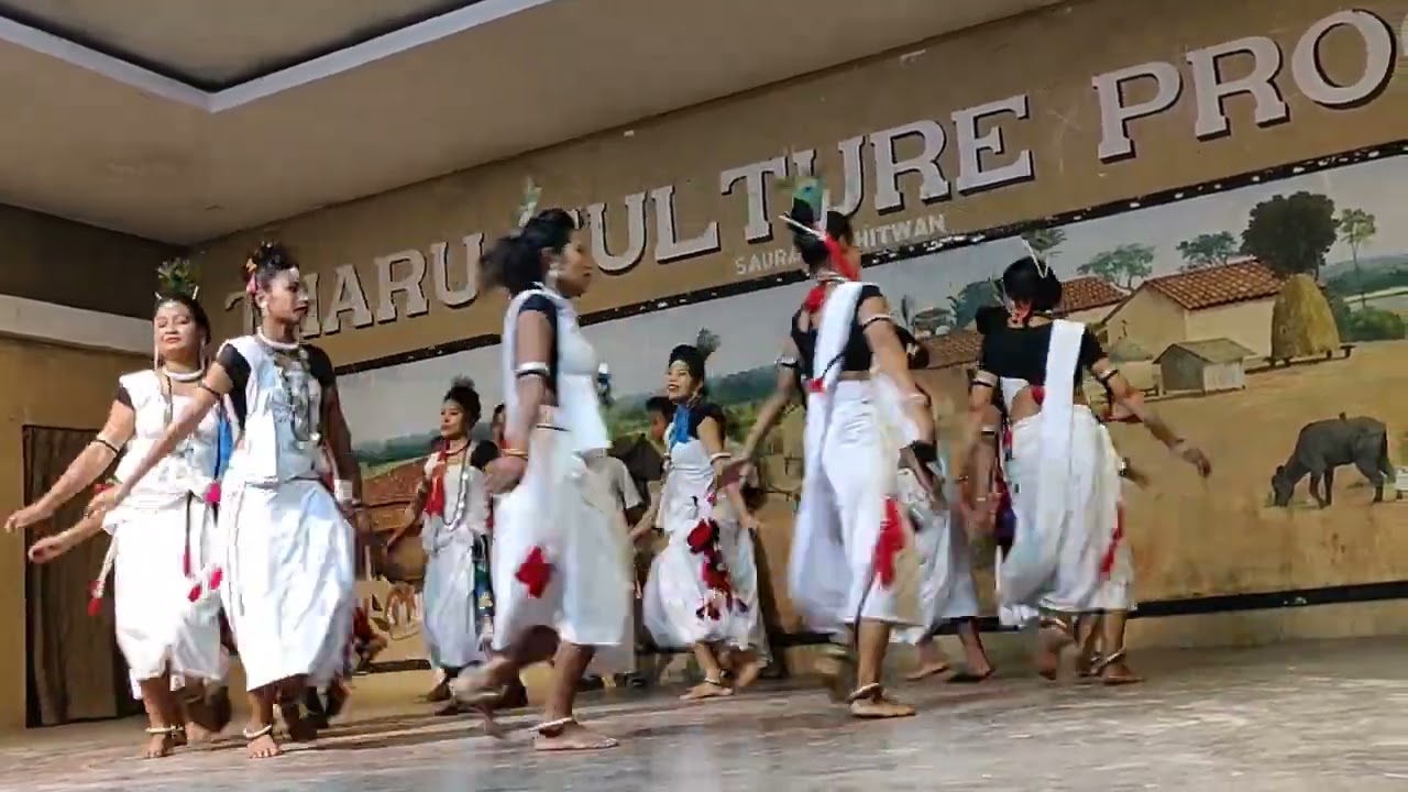 Tharu tribal cultural program, Nepal 🇳🇵 
