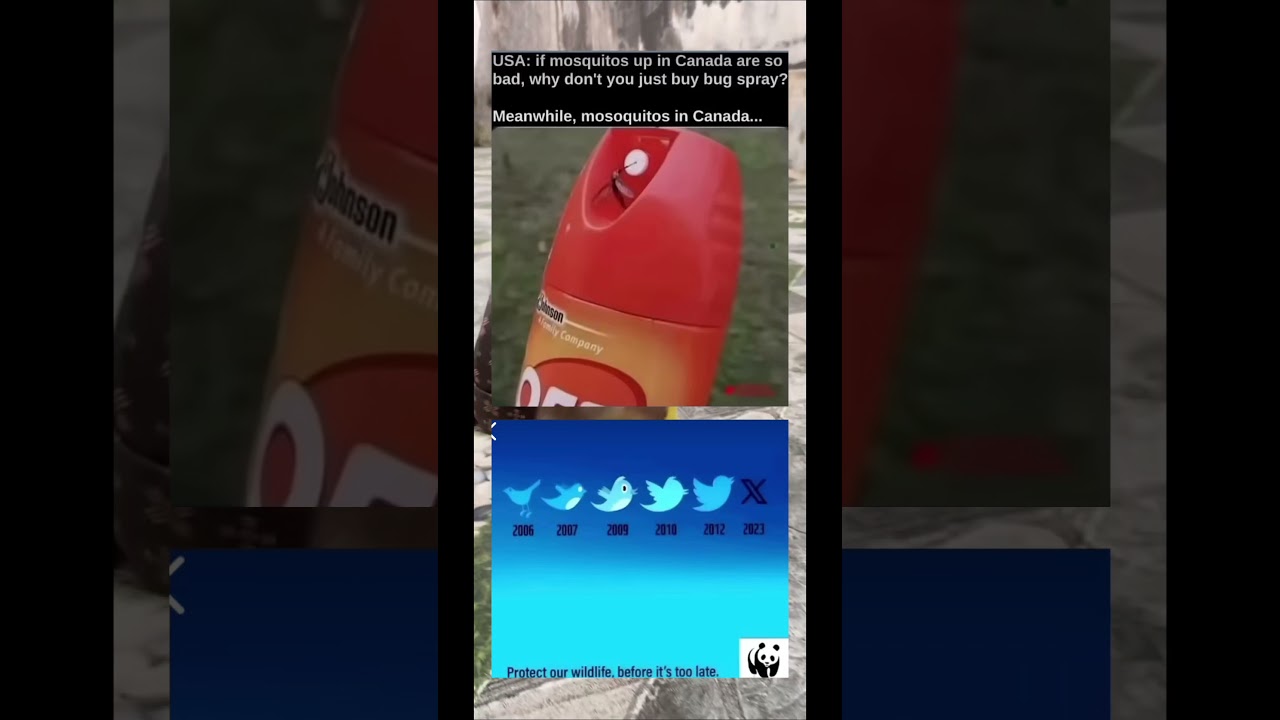 Protect our wildlife #funny #memes