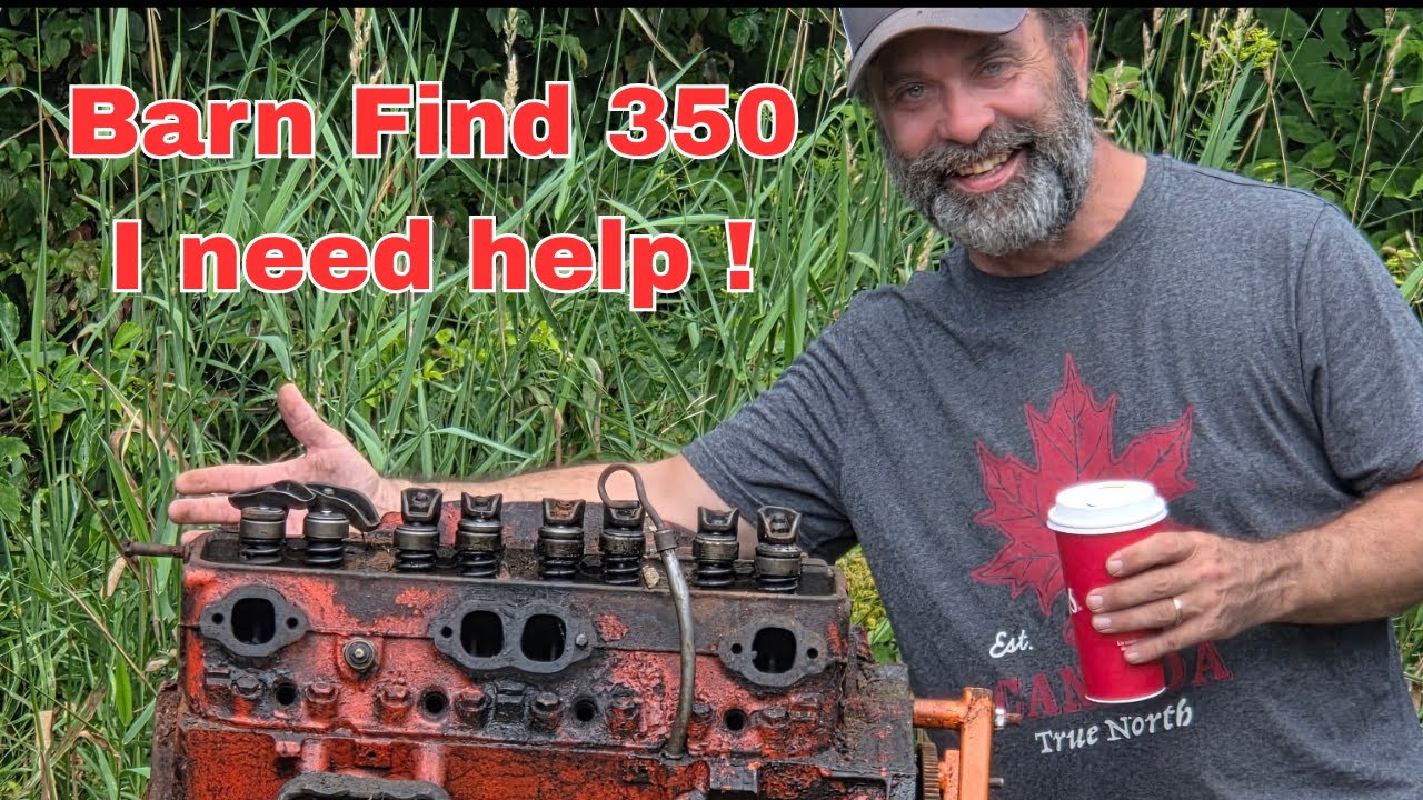 Barn Find Chevy 350. I don't know what I'm doing.
