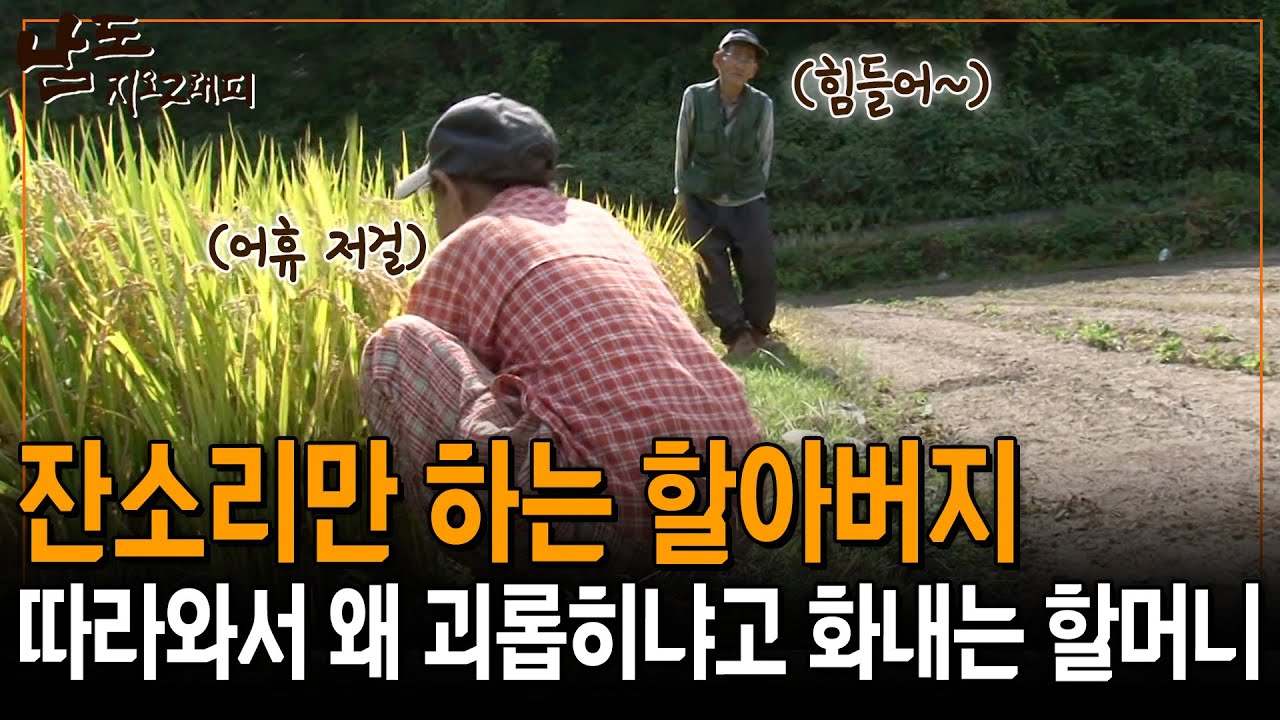 따라와서는 아무것도 안 하면서 잔소리하는 할아버지에 버럭 화를 내는 할머니 [남도지오그래피] | KBS 141013
