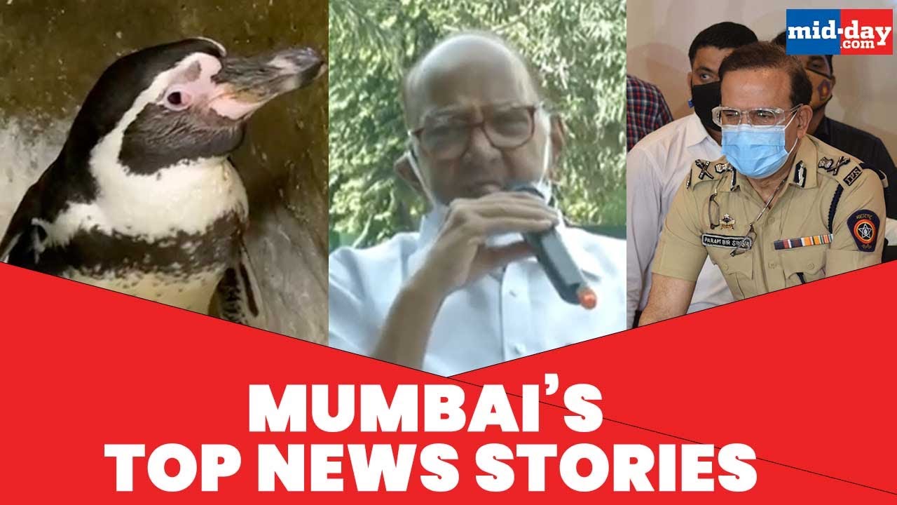 Mumbai News Updates: SC protects Mumbai&rsquo;s ex PC, MSRTC workers strike and more