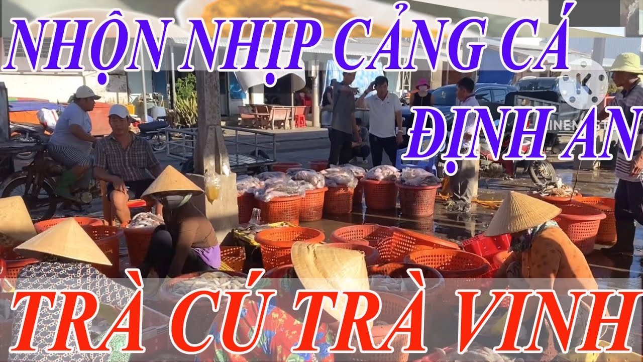 NHỘN NHỊP CẢNG CÁ ĐỊNH AN TRÀ CÚ TRÀ VINH#fish