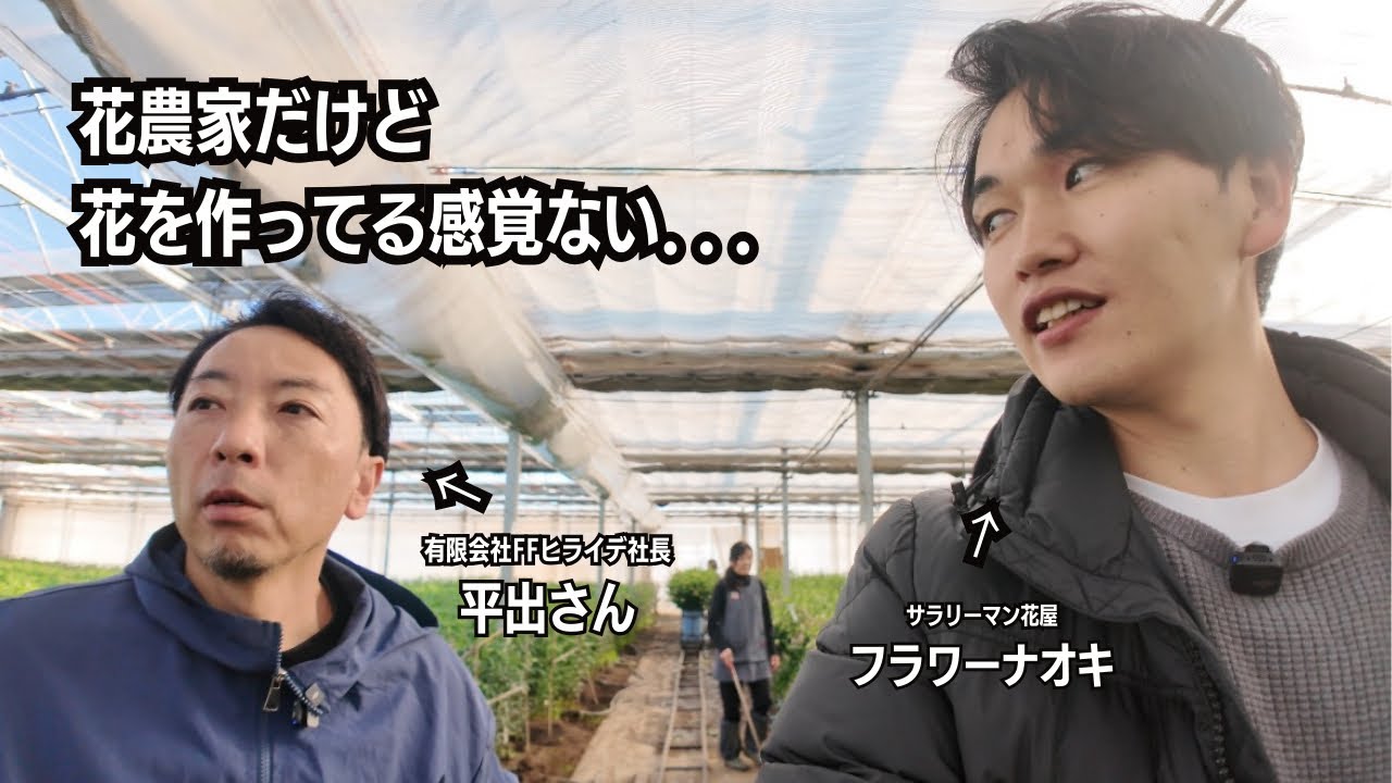 【農家訪問】栃木県のゆり農家「FFヒライデ」に潜入!!  前編