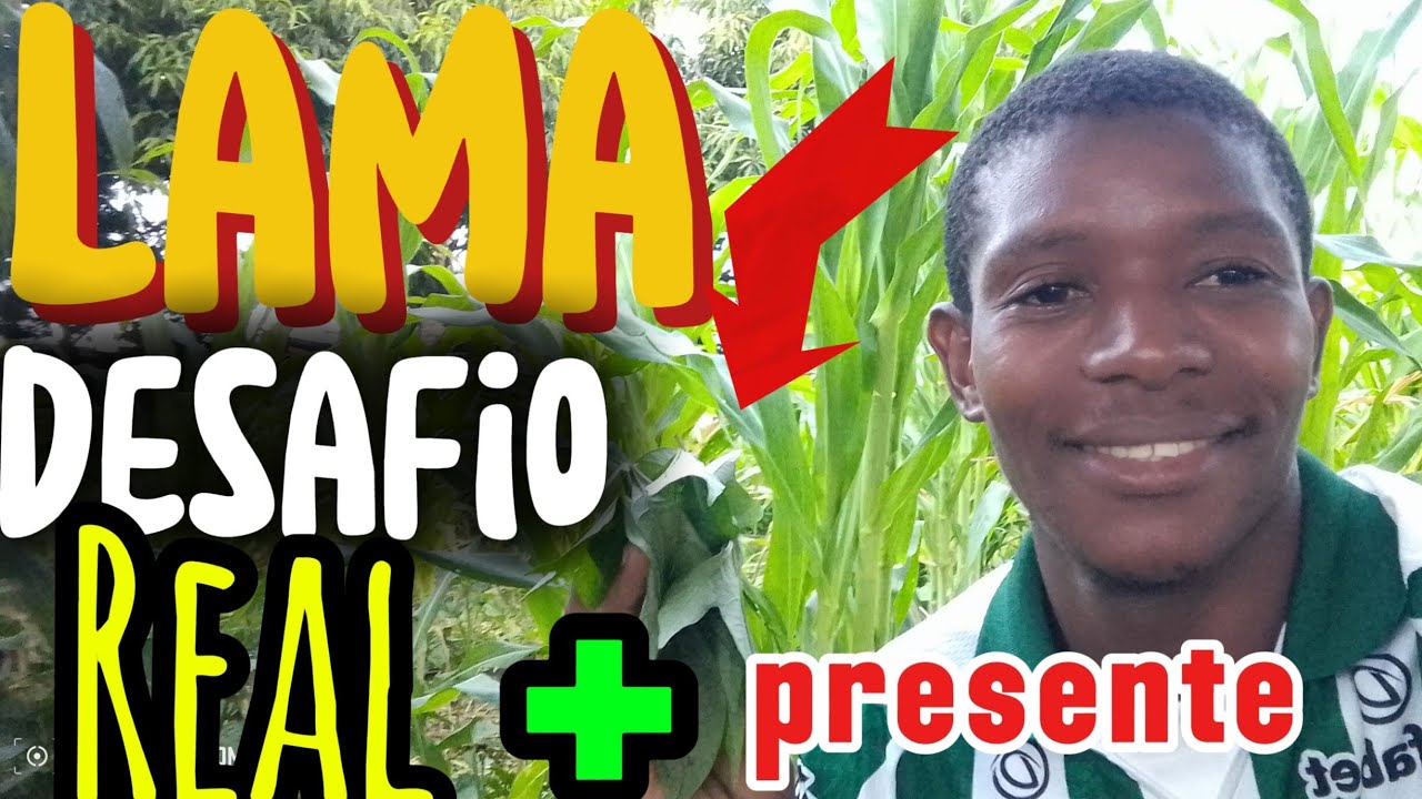  Enfrentei Lama e Ganhei um Presente Especial! 🙏*  Mostrei Como Comprar Energia em Moçambique ⚡🇲🇿*