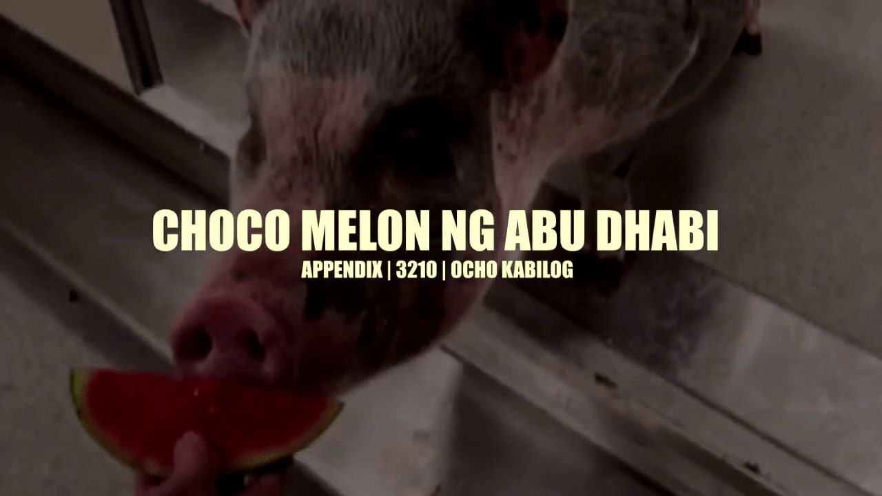 CHOCO MELON NG ABU DHABI - Appendix | 3210 | Ocho Kabilog
