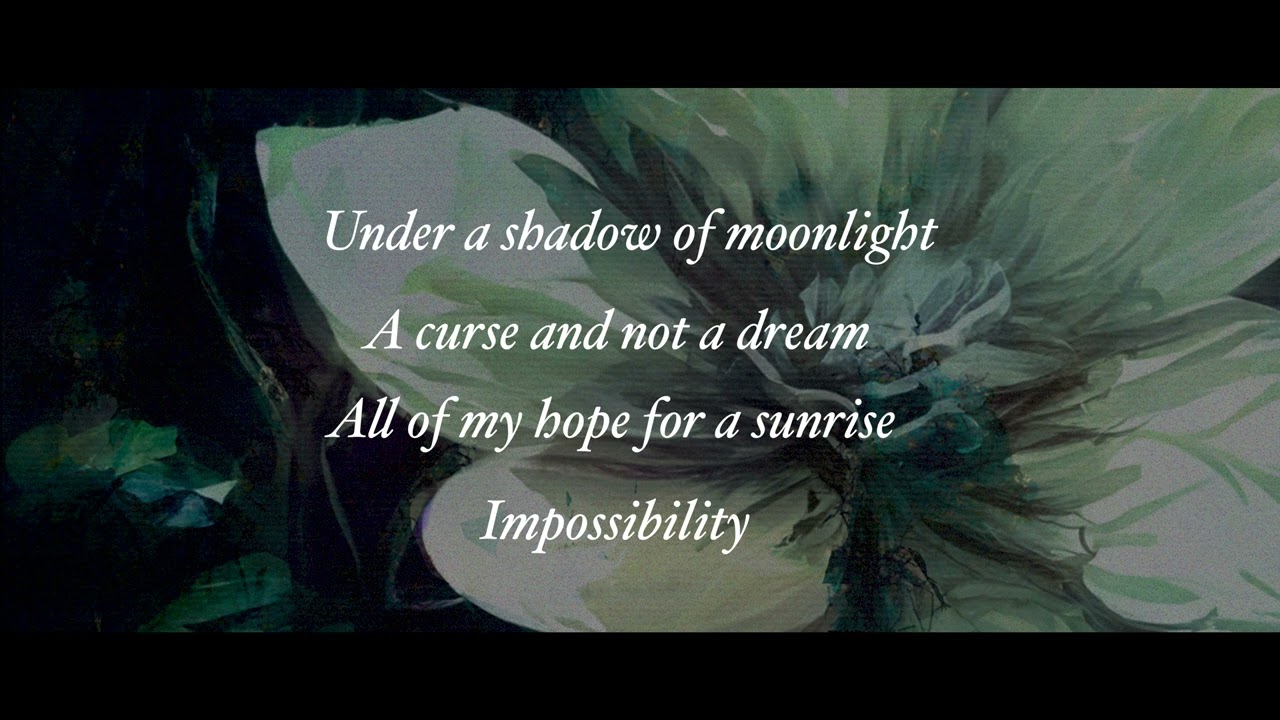 VINTAS - Nightbloom (Official Lyric Video)