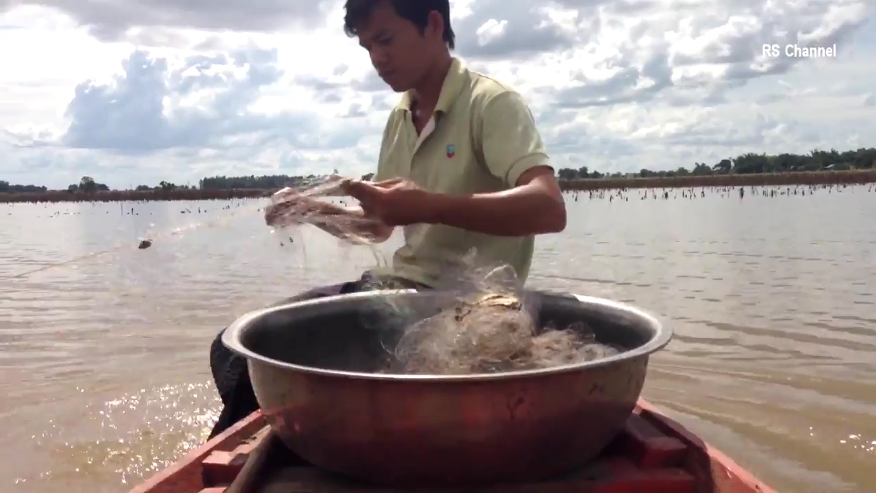 Net Fishing at Kampong cham Province | Khmer Cast Net Fishing | Cambodia Traditional Fishing #03