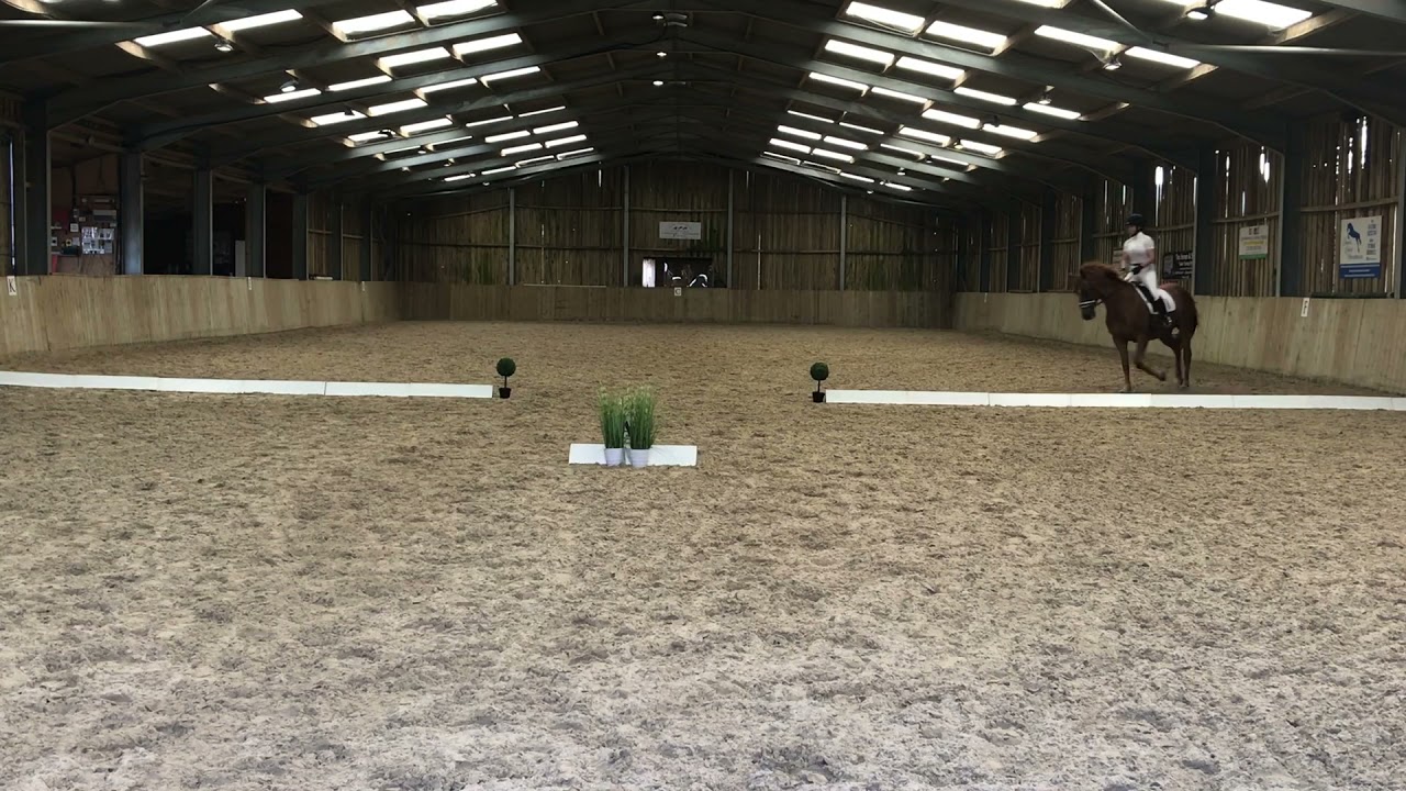 Prelim 2 Dressage Test- 72.59%
