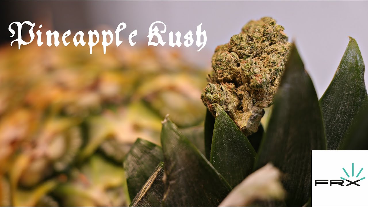 FarmaceuticalRX - Pineapple Kush (Medical Marijuana Review)