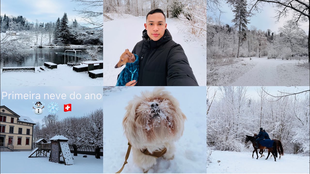 Primeira neve de 2026 🇨🇭❄️☃️
