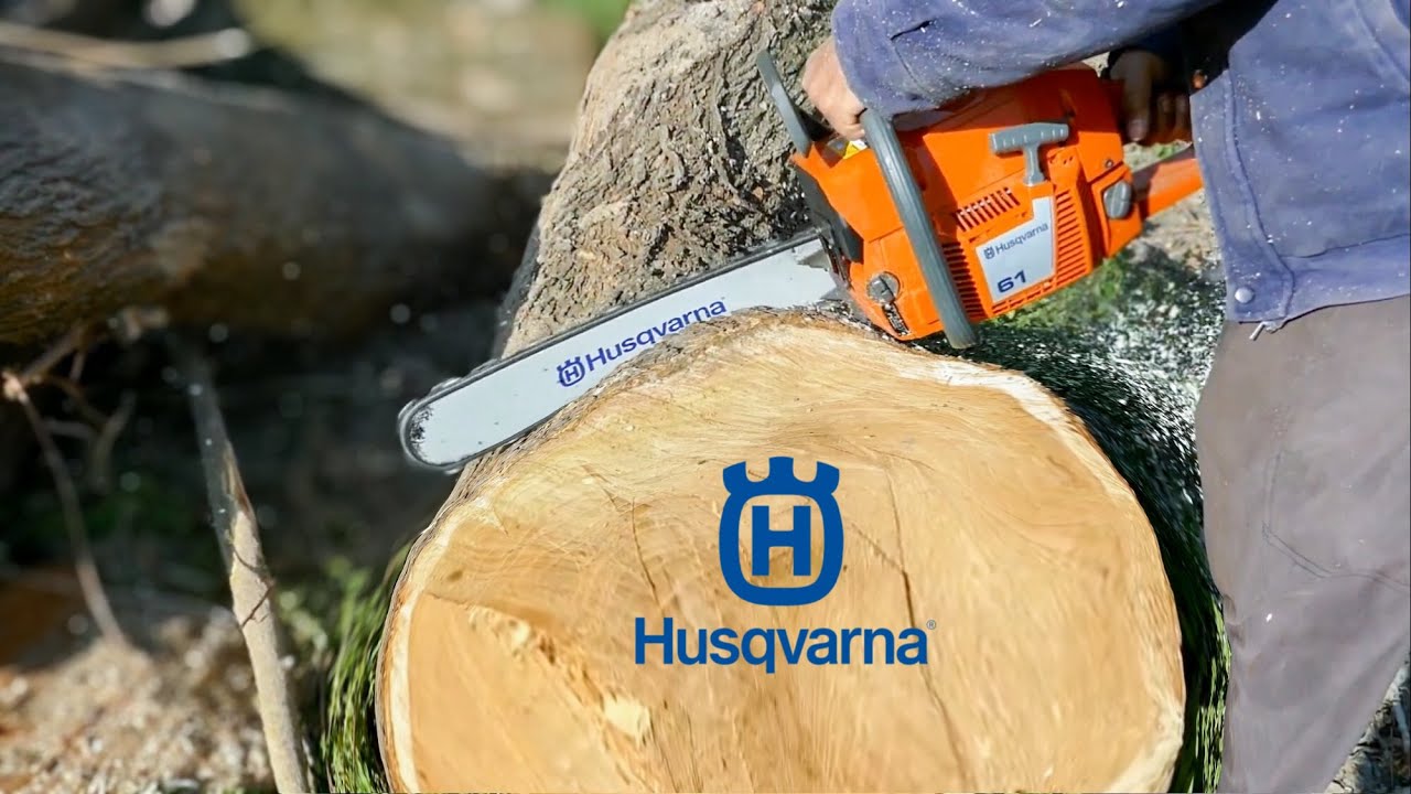 Husqvarna 61 Motorlu Testere İle Ağaç kesimi, Gerçek Bir Canavar