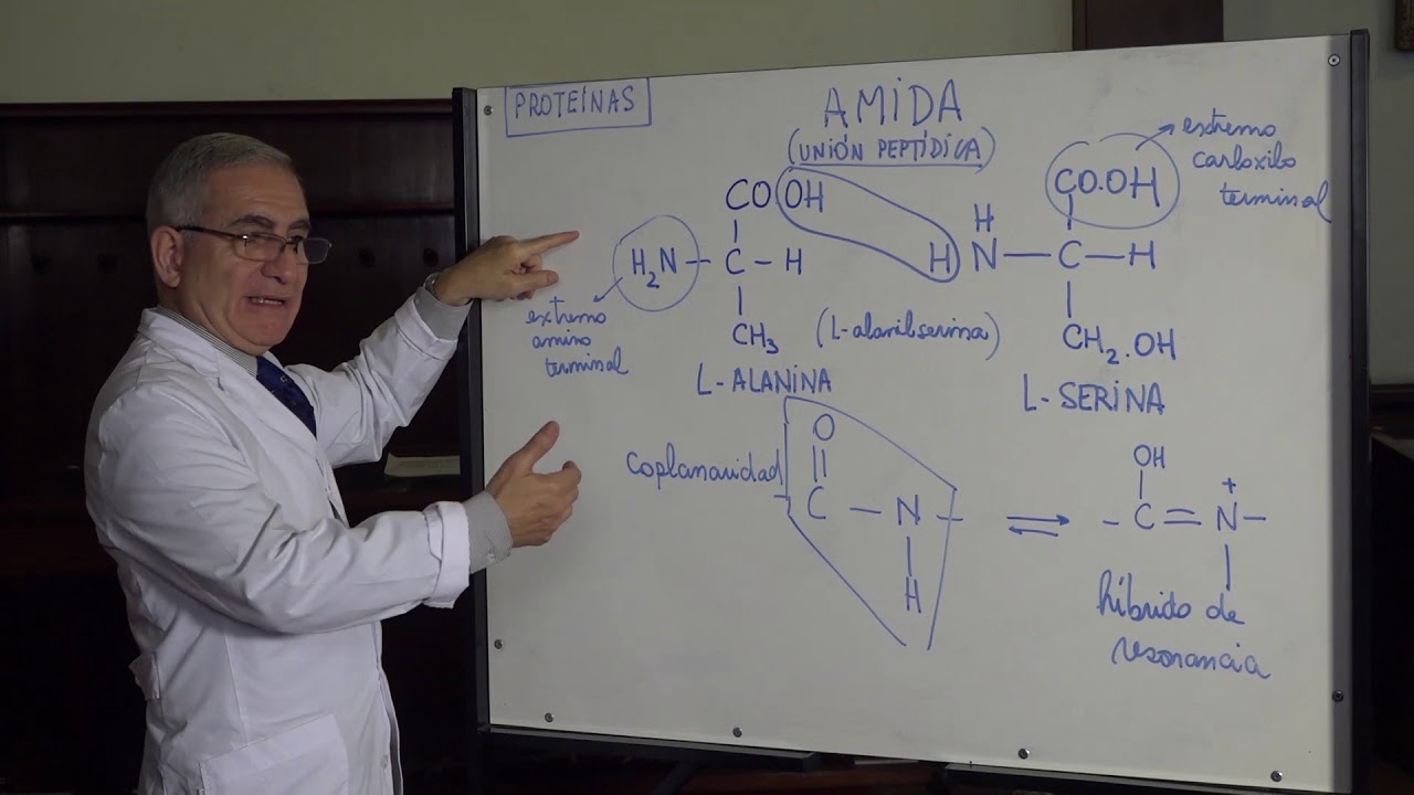 PROTEINAS PARTE 1