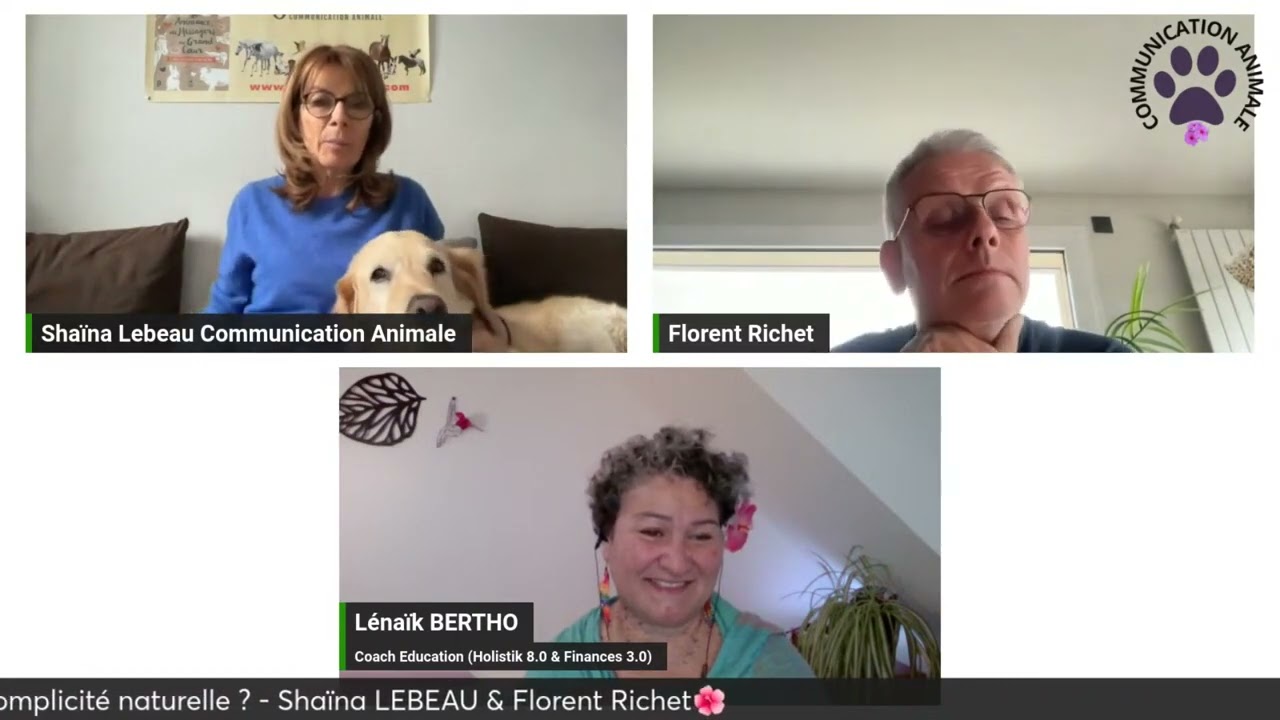L'animal et l'enfant, une complicité naturelle - avec 