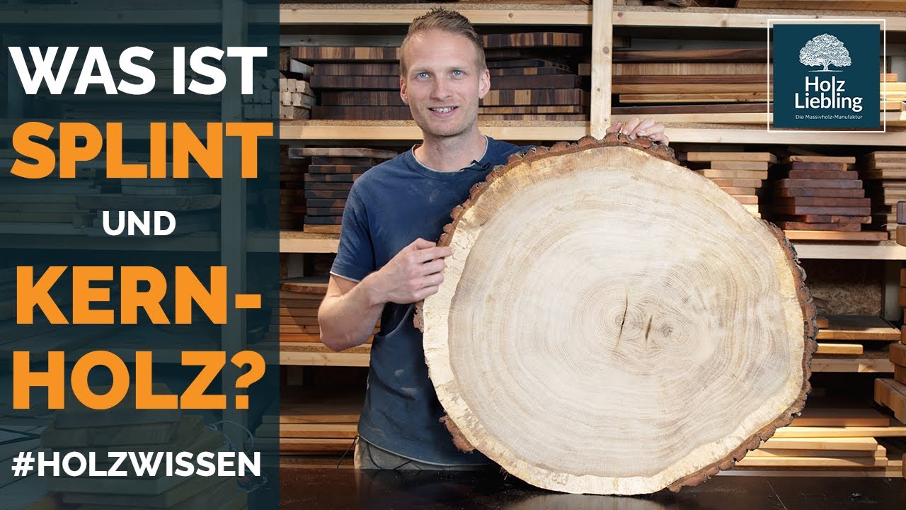 Was ist Splintholz und Kernholz? | Holz-Liebling Fachwissen