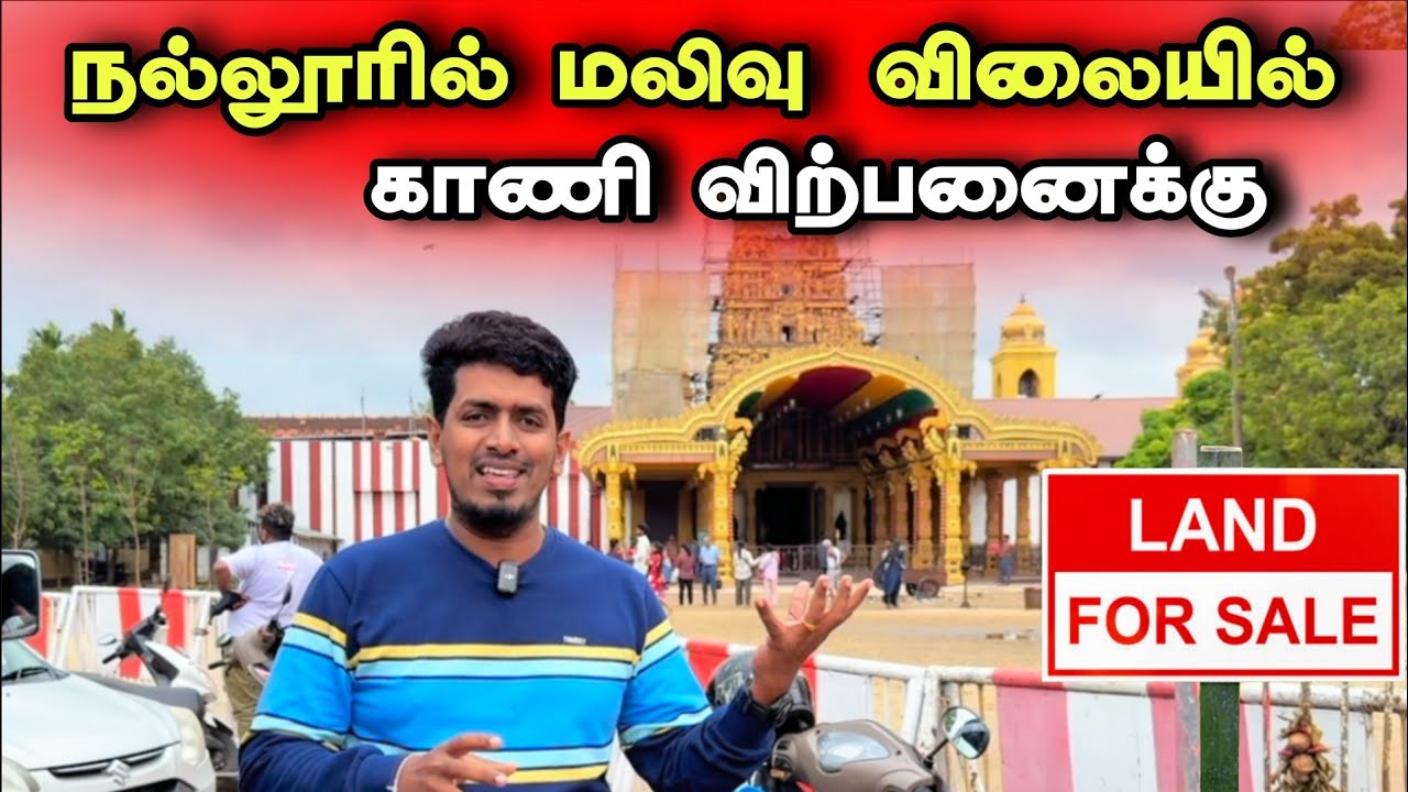 அவுஸ்ரேலியாஅண்ணாவின் காணி விற்பனைக்கு 🏡😍😮 | வீடு, கடை கட்டலாம் 🏬 | Thavakaran view 