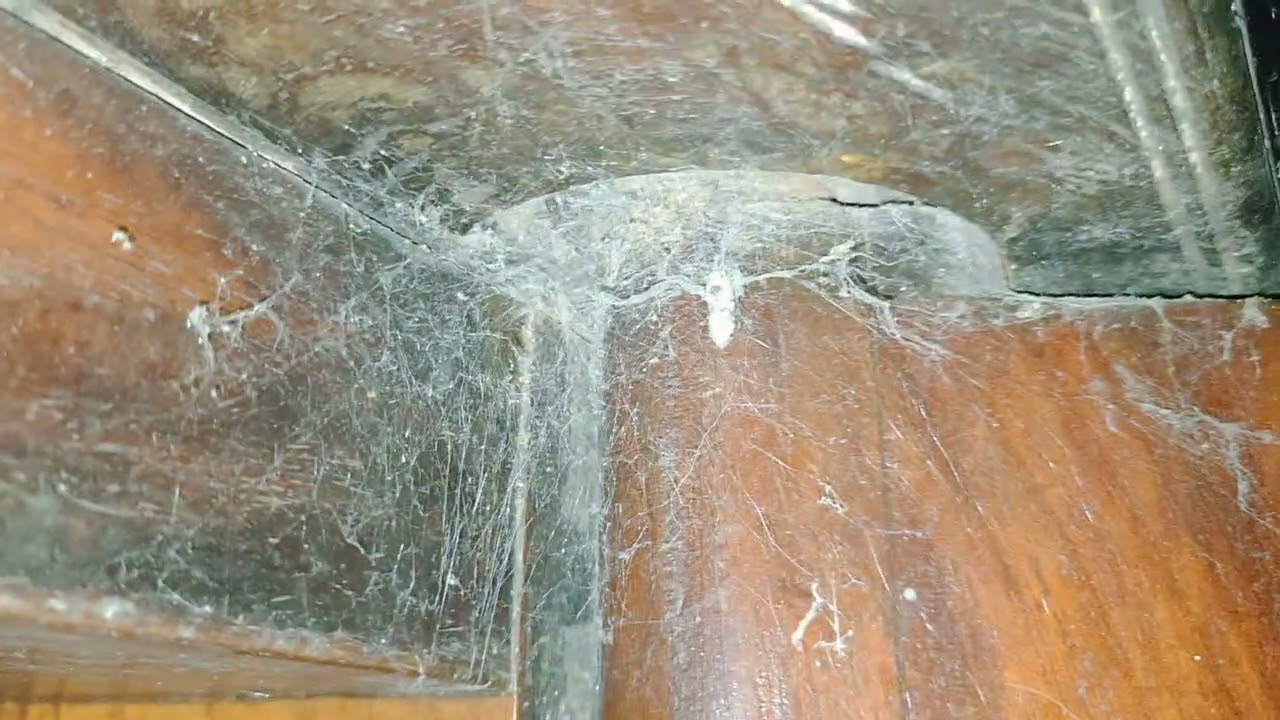 പഴയ തറവാട് | @ കല്ലാമൂല | രുക്മിണി ബായി ടീച്ചർ 