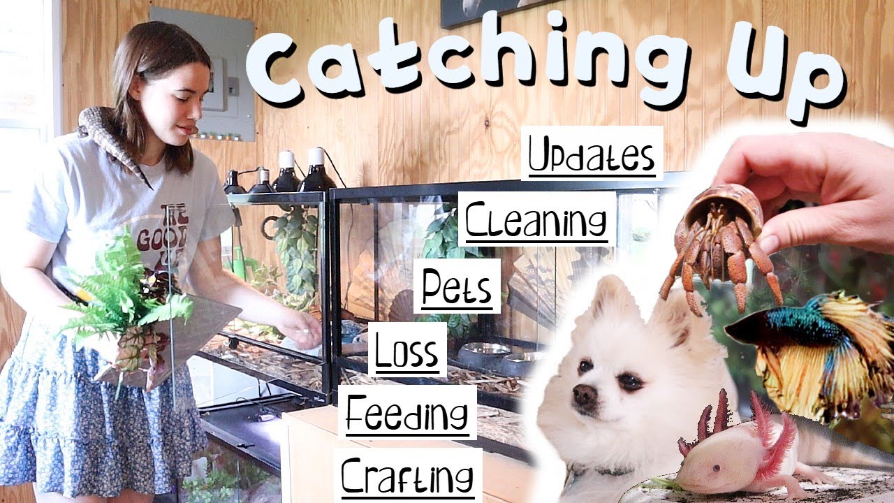 Let's Catch Up with the Pets, July 2025