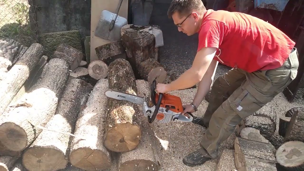 STIHL MS 261 C-M VW with & small bar and big wood #stihl #forest #woodworking #stihlchainsaws