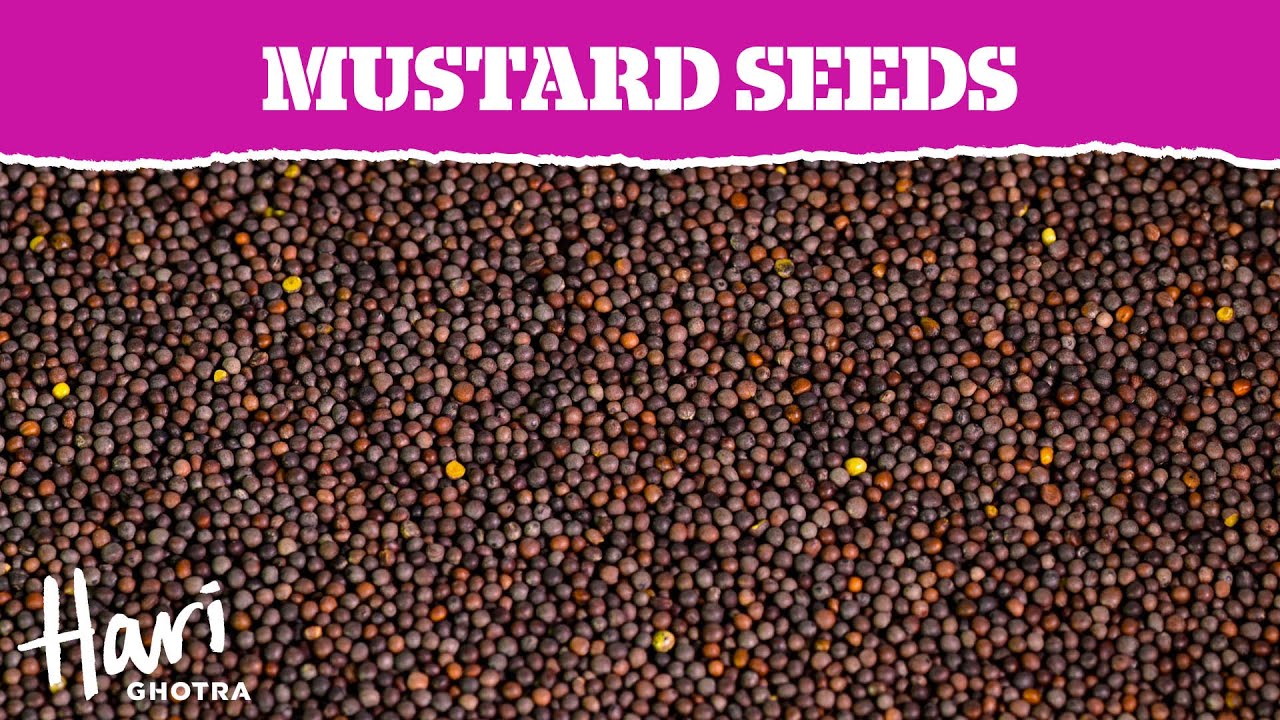 Spotlight on Spices | Mustard Seeds