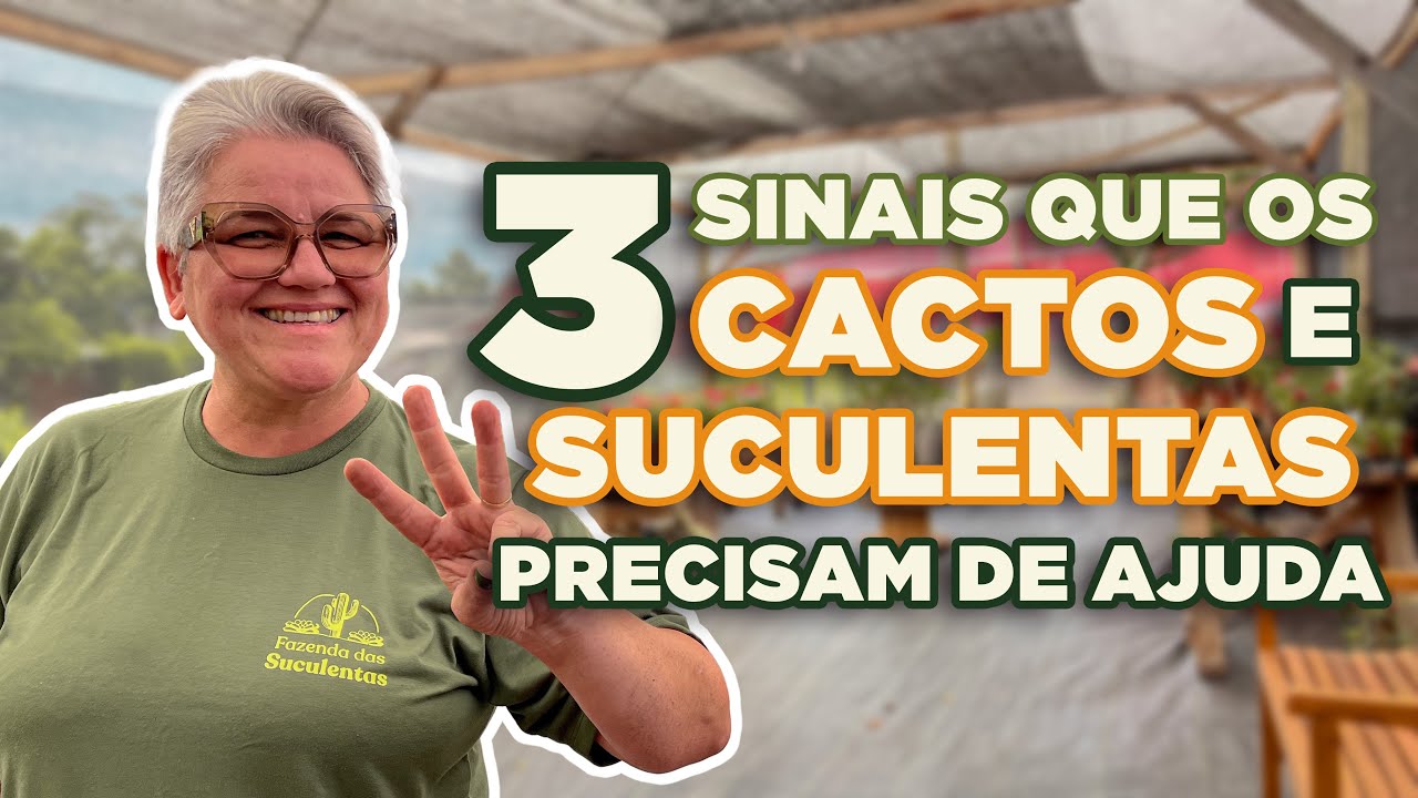 3 SINAIS que os teus CACTOS e as tuas SUCULENTAS te dão de que eles NÃO estão BEM!