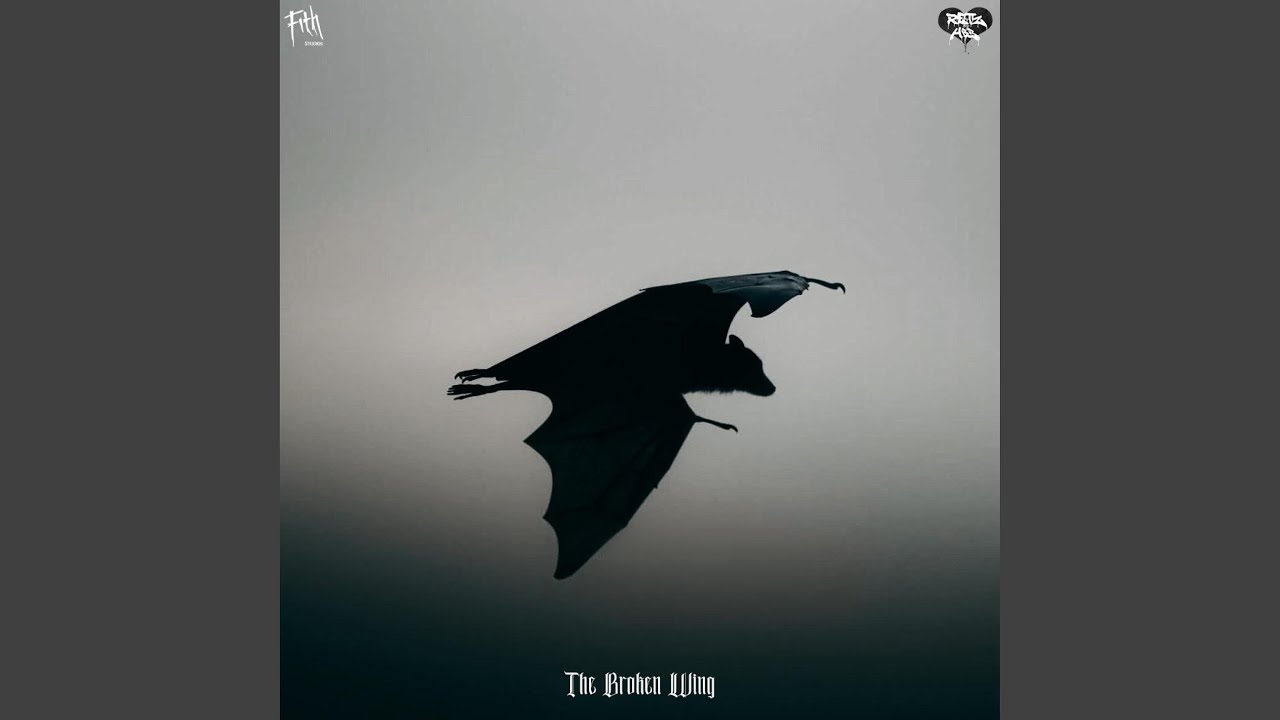 Morgue (feat. Fith)