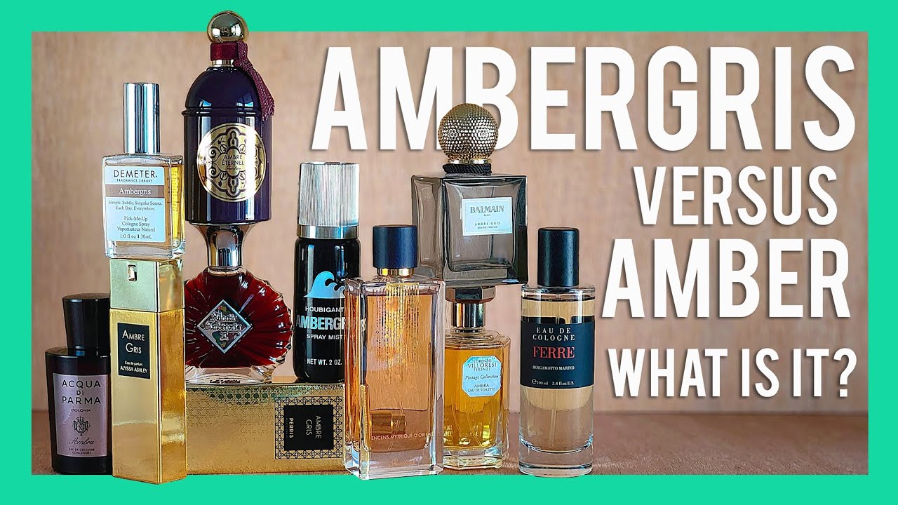 WHAT IS AMBERGRIS? AMBER VS AMBERGRIS: AMBERGRIS PERFUME REVIEWS