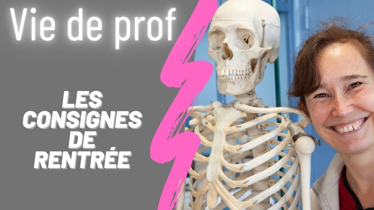 Vie de prof : la rentrée, premier jour des 6èmes