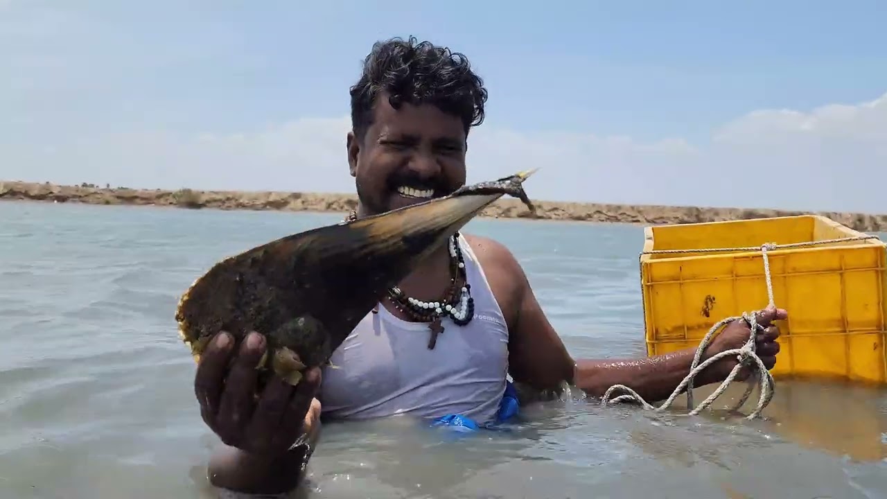 கடலுக்கு நடுவில் ஆபத்தான ஆக்கு பிடிக்க போறோம் 