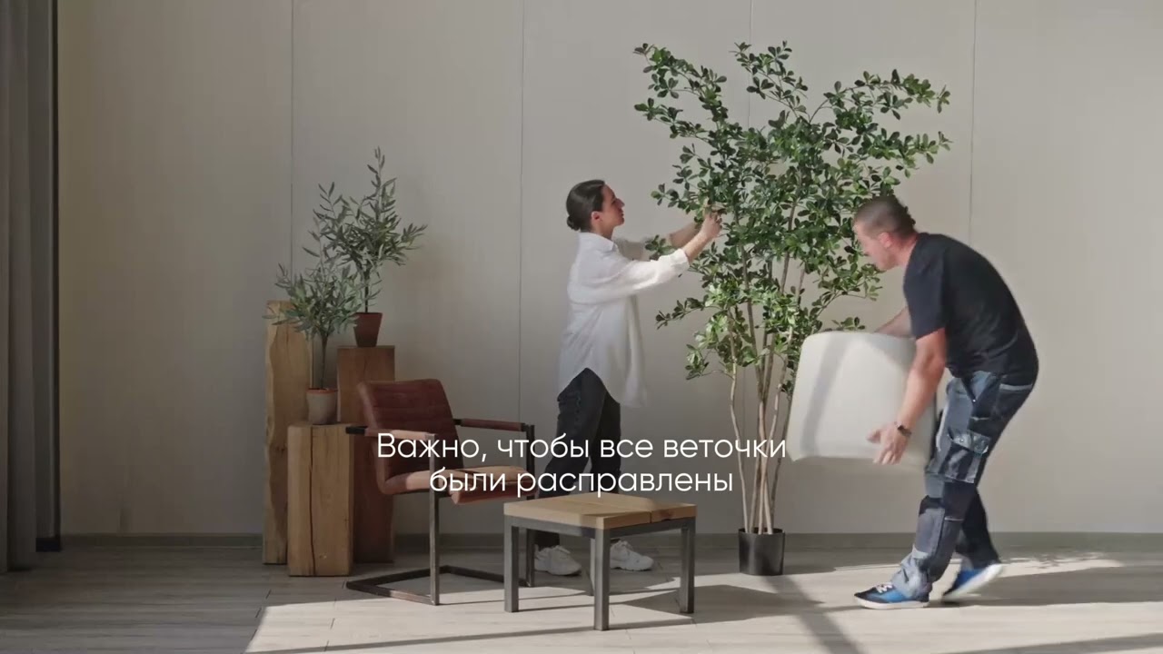 Расправляем Лесную Чёрную Оливу 🌱