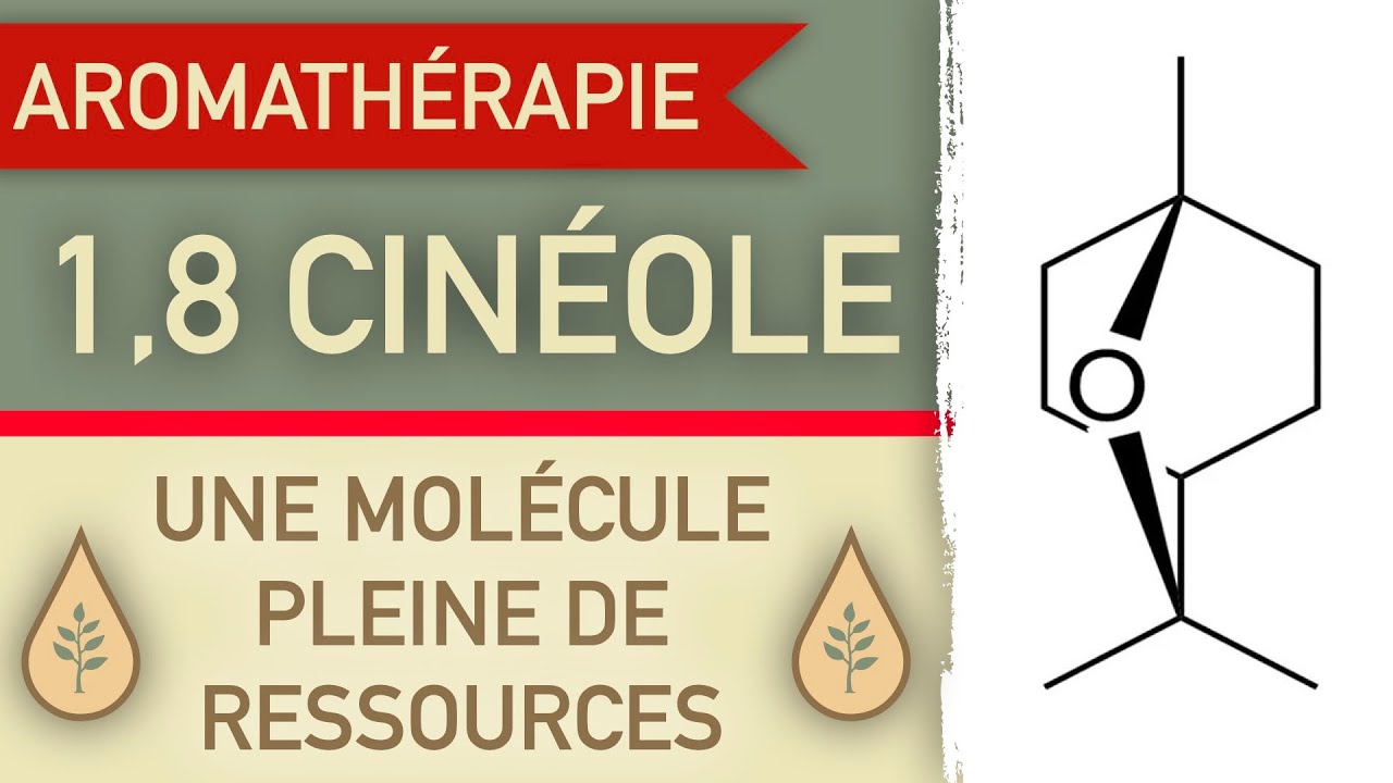 Le 1,8 cinéole en aromathérapie