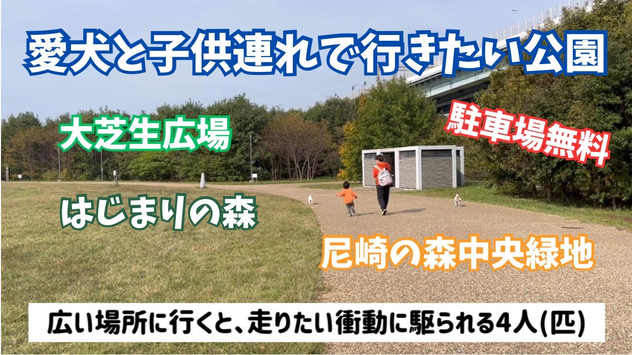 【大芝生】尼崎の森中央緑地をひたすら散歩した日