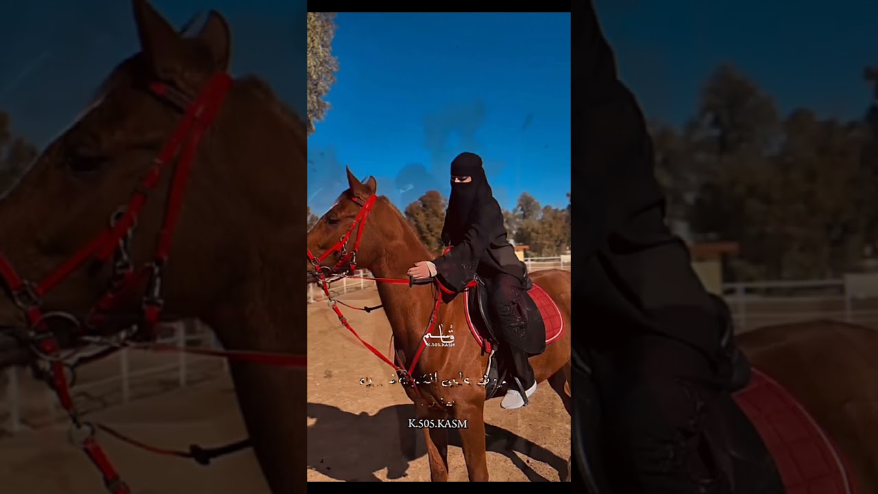 #كروم_العساف