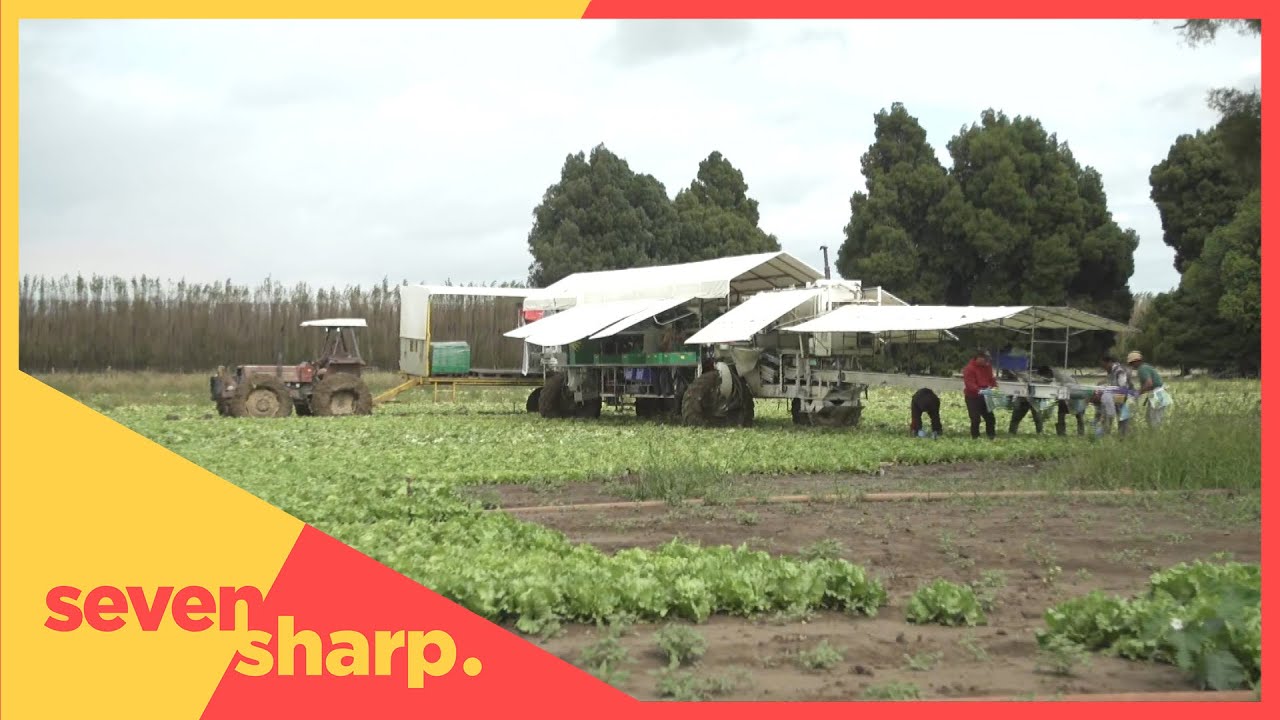 After the cyclone: Gisborne