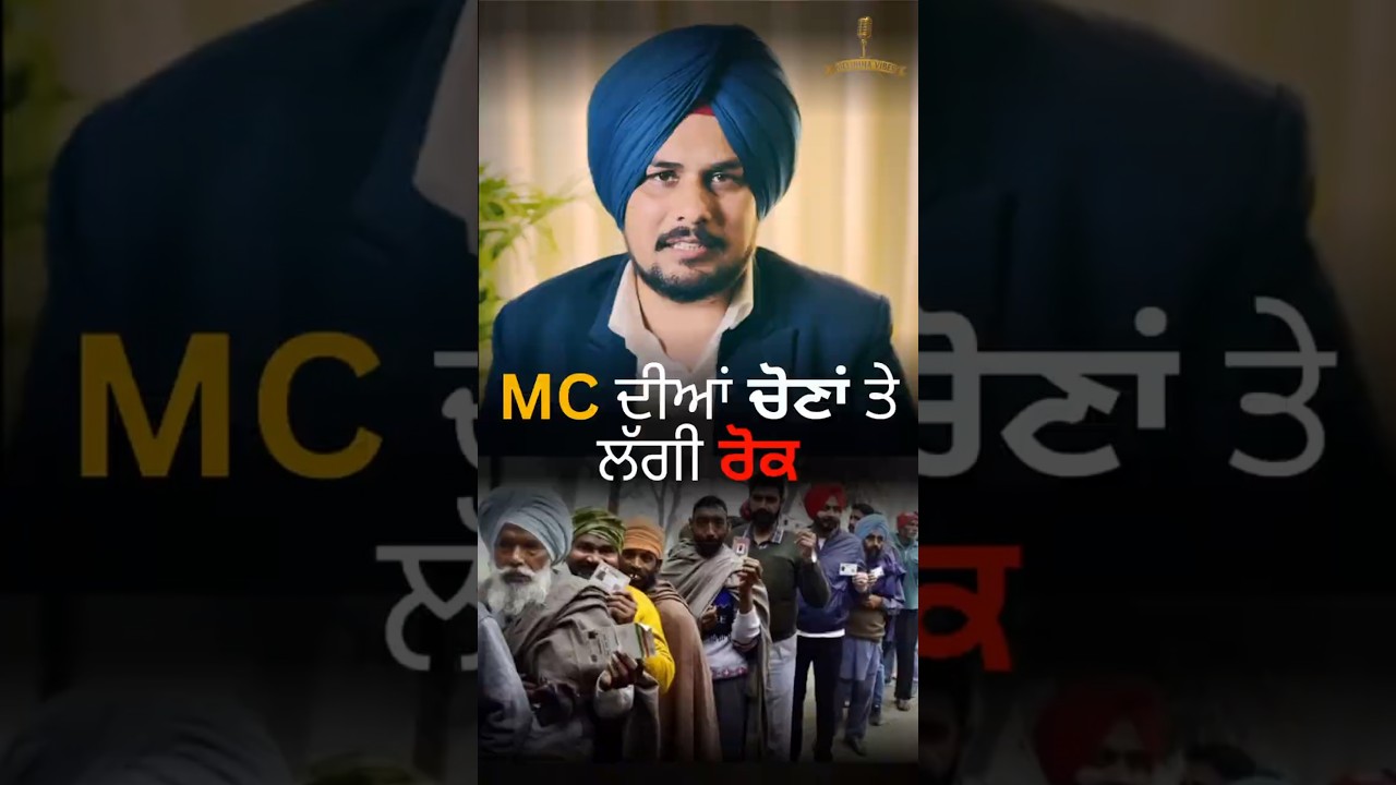 No Municipal Elections in Punjab? High Court Order Explained!