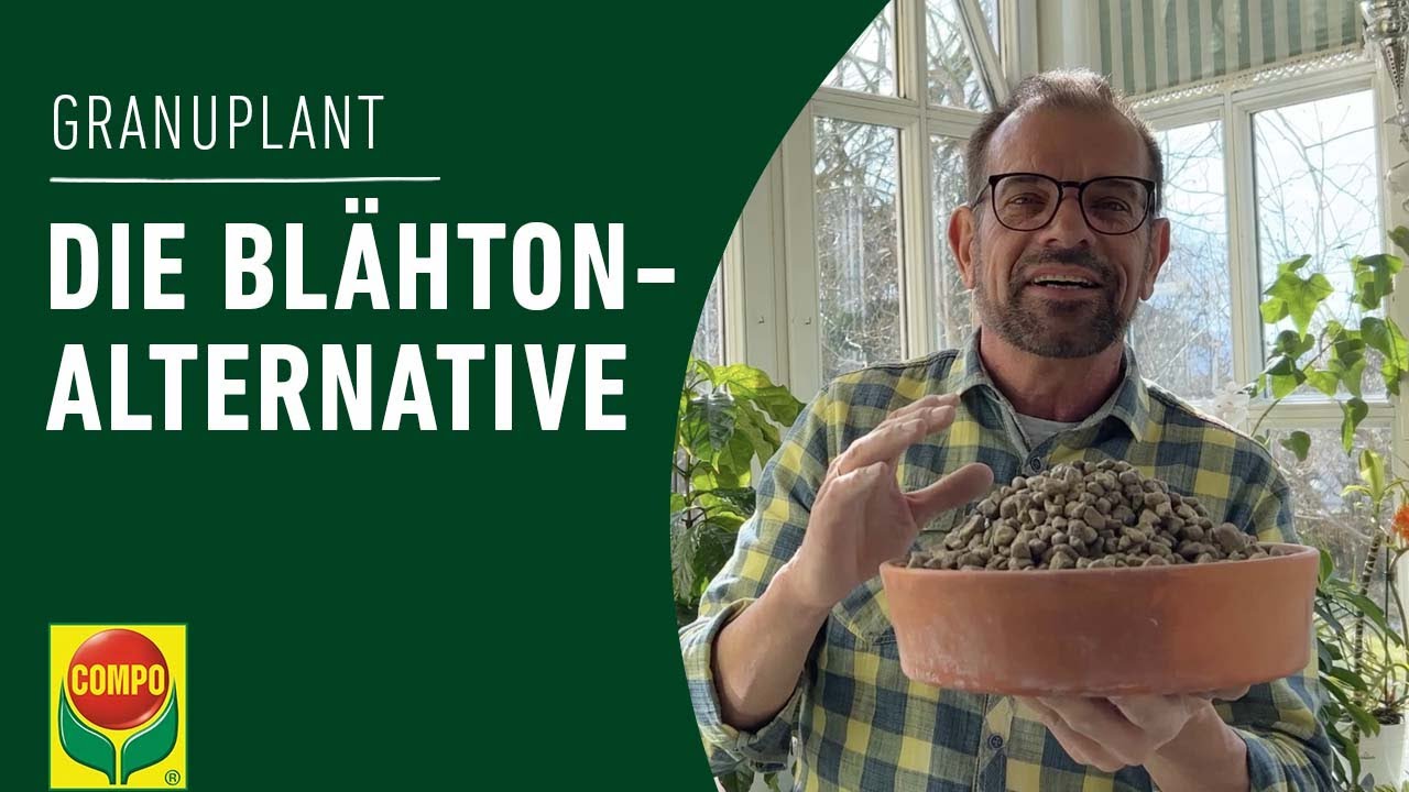 Bims als Bl&auml;hton-Alternative | COMPO