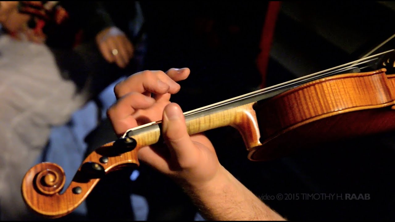 Laura, Nathan & Friends [pt 2] Catskills Irish 2014#72