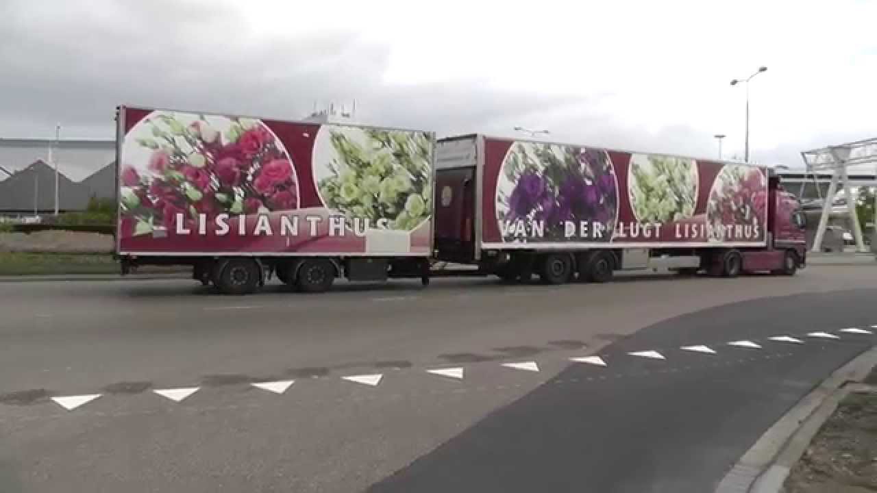 trucks, trucks, flowers and plant transport, FloraHolland 2