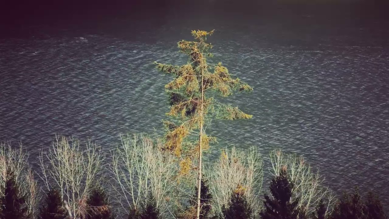 József Attila - A Dunánál - Előadja: Latinovits Zoltán