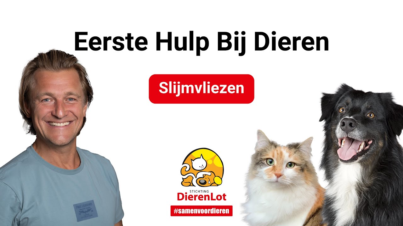 Wat zijn slijmvliezen en wanneer controleer je ze?