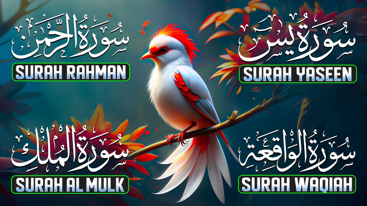 4 Most beautiful recitation to Relax Your Heart & Mind of Surah Yaseen, Ar-Rahman, Waqiah, Al-Mulk