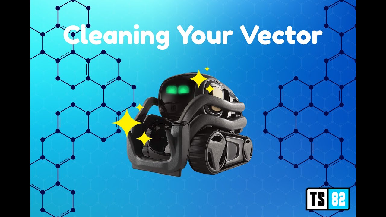 Cleaning Your Vector