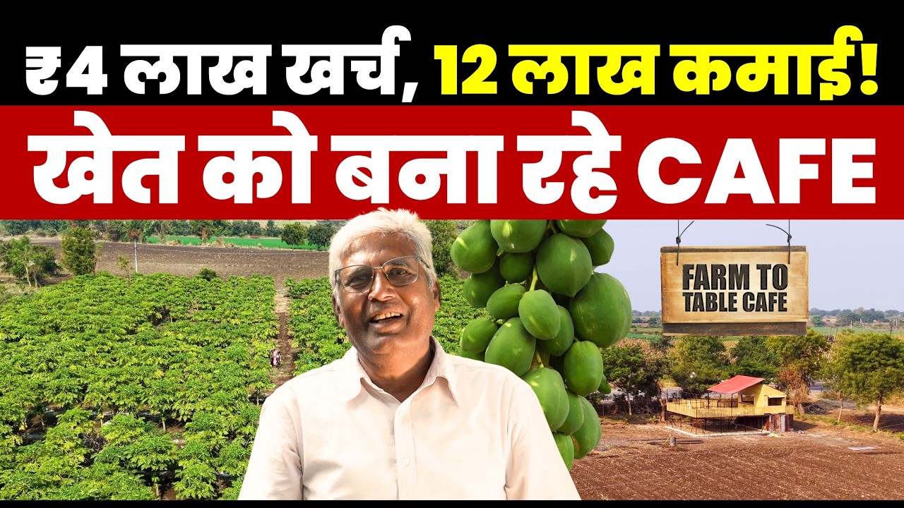 पपीता की खेती-4 लाख खर्च, 12 लाख कमाई, Red Lady 786 variety | Farm to Cafe concept