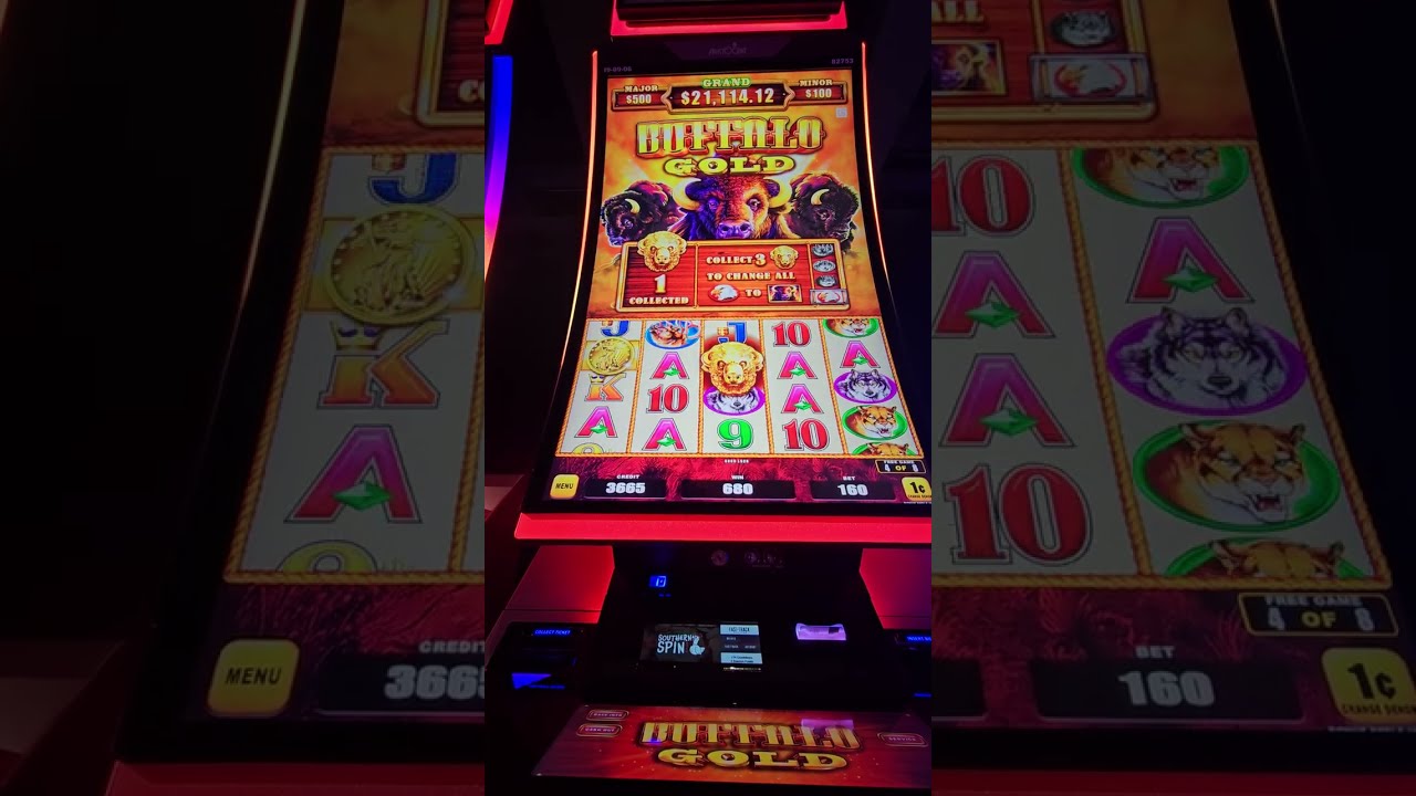 BUFFALO GOLD!! Nice Bonus Win @HHRSlotsNMore 