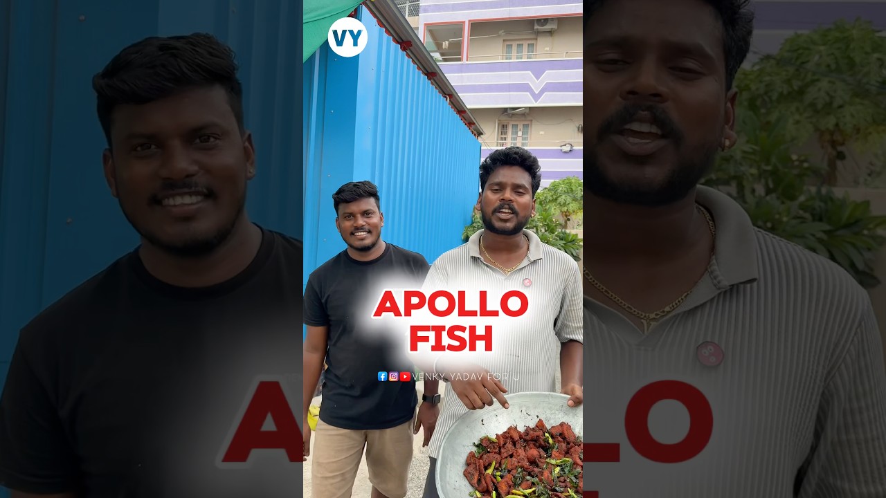 APOLLO FISH ‼️🔥💥| venky yadav catering