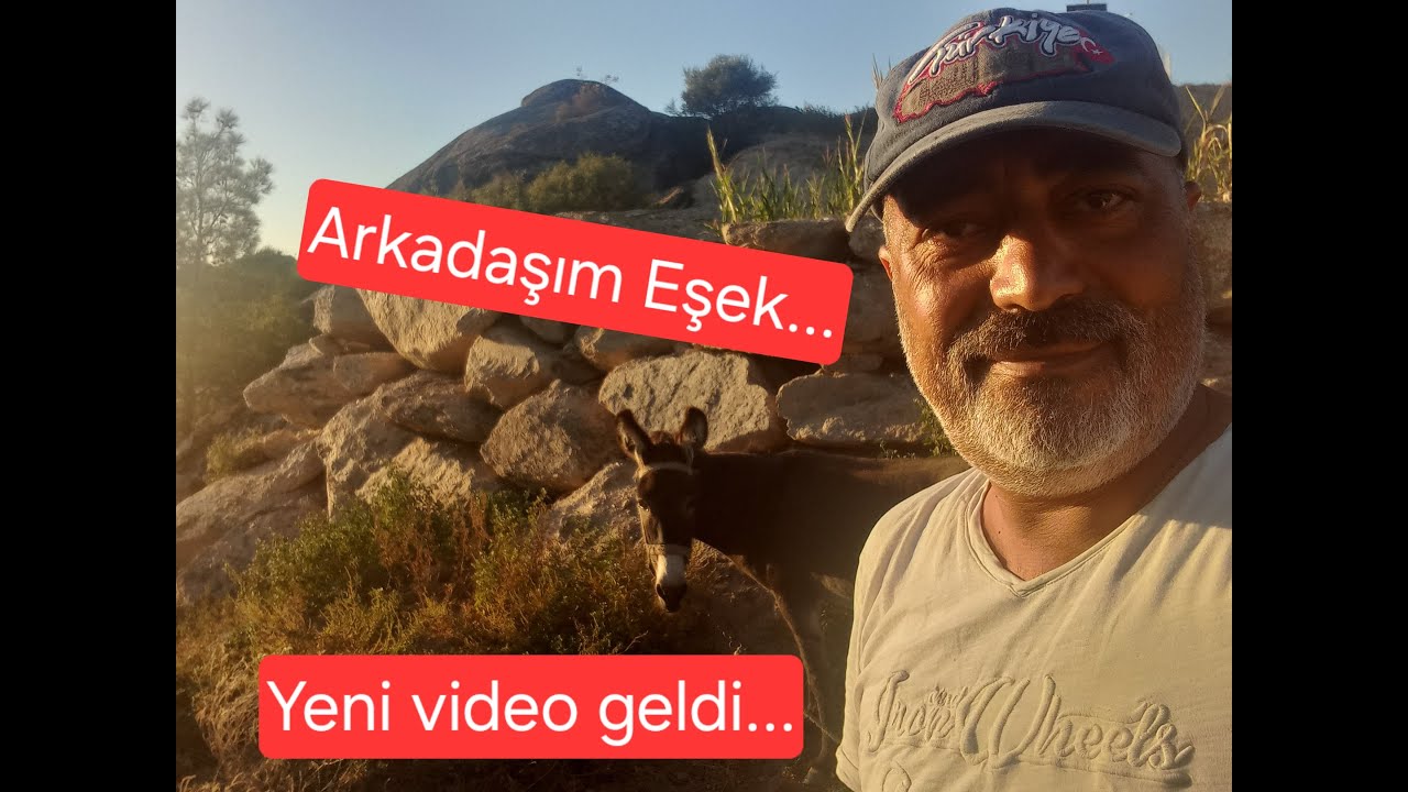 Konteyner Tamirat ve Altyapı işleri...
