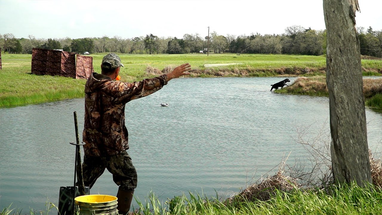 Pawsitive Dog Training with the Hunting Retriever Club