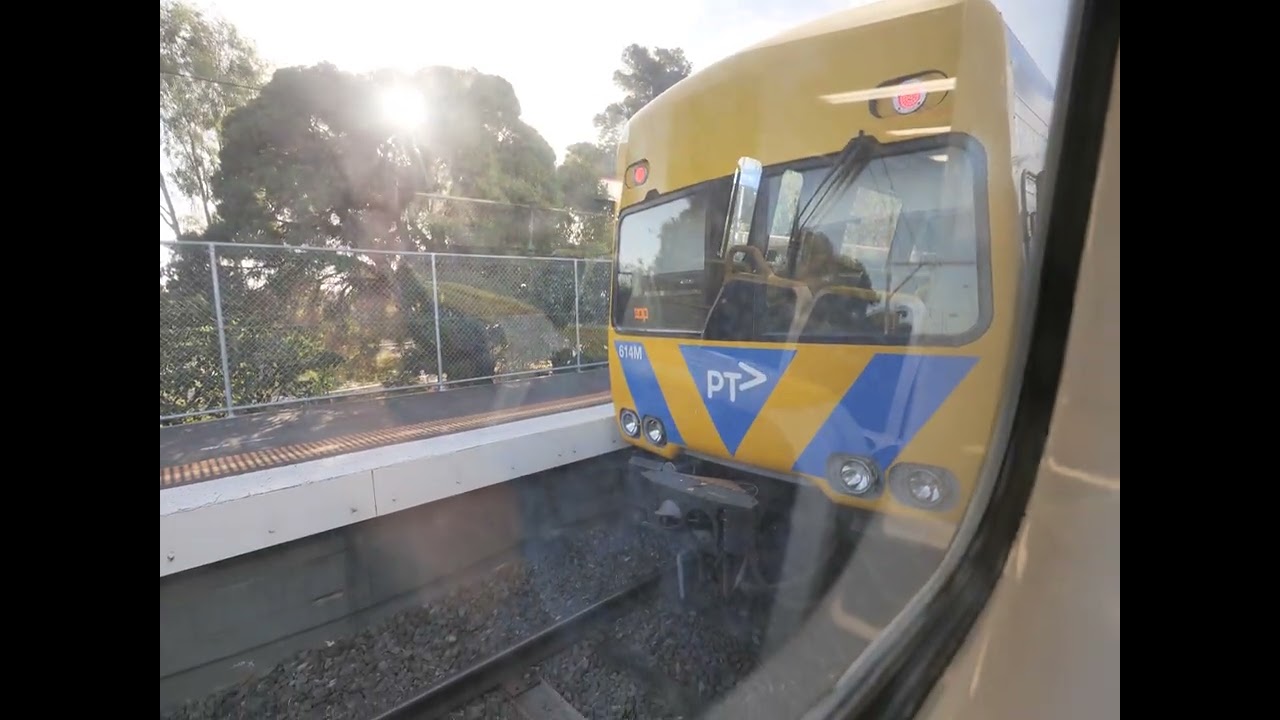 381M-370M Craigieburn/Frankston: Roxburgh Park - Frankston (Friday 1 March 2024)